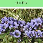 ヒメ日記 2026/01/22 21:54 投稿 工藤　藍 セレブショップ新宿（東京ハレ系）