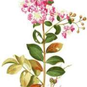 ヒメ日記 2026/02/16 08:11 投稿 工藤　藍 セレブショップ新宿（東京ハレ系）