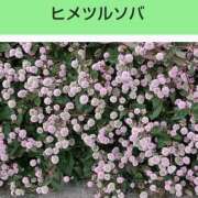 ヒメ日記 2026/02/27 08:14 投稿 工藤　藍 セレブショップ新宿（東京ハレ系）