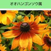 ヒメ日記 2026/03/02 08:13 投稿 工藤　藍 セレブショップ新宿（東京ハレ系）