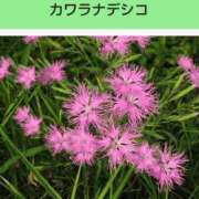 ヒメ日記 2026/03/12 20:14 投稿 工藤　藍 セレブショップ新宿（東京ハレ系）