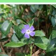 ヒメ日記 2026/03/26 21:40 投稿 工藤　藍 セレブショップ新宿（東京ハレ系）