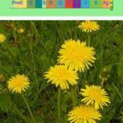 ヒメ日記 2026/03/27 08:12 投稿 工藤　藍 セレブショップ新宿（東京ハレ系）