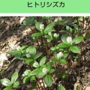 ヒメ日記 2026/04/09 20:15 投稿 工藤　藍 セレブショップ新宿（東京ハレ系）