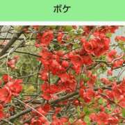 ヒメ日記 2026/04/12 19:12 投稿 工藤　藍 セレブショップ新宿（東京ハレ系）