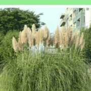 ヒメ日記 2026/04/13 08:14 投稿 工藤　藍 セレブショップ新宿（東京ハレ系）