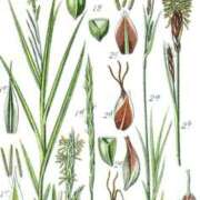 ヒメ日記 2026/04/17 08:12 投稿 工藤　藍 セレブショップ新宿（東京ハレ系）