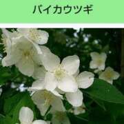 ヒメ日記 2026/05/15 08:13 投稿 工藤　藍 セレブショップ新宿（東京ハレ系）