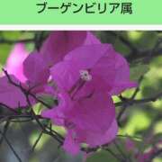 ヒメ日記 2026/05/17 20:17 投稿 工藤　藍 セレブショップ新宿（東京ハレ系）