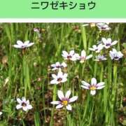 ヒメ日記 2026/07/06 08:14 投稿 工藤　藍 セレブショップ新宿（東京ハレ系）