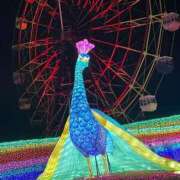 ヒメ日記 2024/12/27 18:59 投稿 のりか サンキュー福岡店