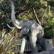 ヒメ日記 2025/01/04 11:02 投稿 のりか サンキュー福岡店