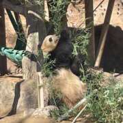 ヒメ日記 2025/07/04 15:39 投稿 のりか サンキュー福岡店