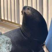 ヒメ日記 2025/11/26 17:19 投稿 のりか サンキュー福岡店