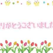 ヒメ日記 2025/04/29 08:41 投稿 みよし 丸妻 横浜本店