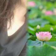 ヒメ日記 2025/05/12 09:39 投稿 みよし 丸妻 横浜本店