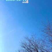 ヒメ日記 2025/12/15 09:54 投稿 田辺 熟女の風俗最終章 横浜本店