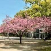 ヒメ日記 2026/03/04 13:04 投稿 田辺 熟女の風俗最終章 横浜本店