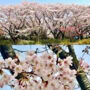 田辺 おはようございます♪ 熟女の風俗最終章 横浜本店