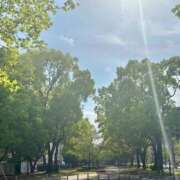 ヒメ日記 2026/04/14 15:14 投稿 田辺 熟女の風俗最終章 横浜本店