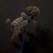 ヒメ日記 2026/04/13 09:10 投稿 Sora　ソラ XOXO Hug&Kiss 神戸店