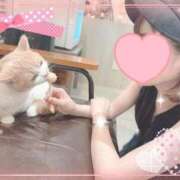 ヒメ日記 2025/08/04 18:00 投稿 吉成　ちなみ OLセレクション宇都宮店