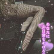 ヒメ日記 2025/09/30 14:00 投稿 吉成　ちなみ OLセレクション宇都宮店