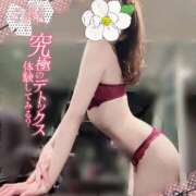 ヒメ日記 2026/02/26 12:02 投稿 吉成　ちなみ OLセレクション宇都宮店