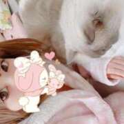 ヒメ日記 2024/12/13 18:00 投稿 朝比奈 らむ club eyes