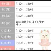 ヒメ日記 2025/04/06 01:09 投稿 相川 みく club eyes