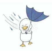 ヒメ日記 2025/05/24 10:12 投稿 相川 みく club eyes