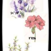 ヒメ日記 2025/07/01 19:49 投稿 相川 みく club eyes