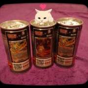 ヒメ日記 2025/07/27 03:52 投稿 相川 みく club eyes