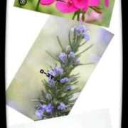 ヒメ日記 2025/09/29 16:20 投稿 相川 みく club eyes