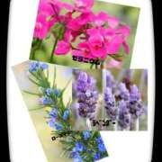 ヒメ日記 2025/11/20 18:30 投稿 相川 みく club eyes