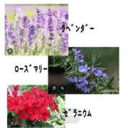 ヒメ日記 2026/04/02 20:25 投稿 相川 みく club eyes