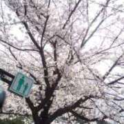 ヒメ日記 2025/04/22 09:30 投稿 椿 かりな club eyes