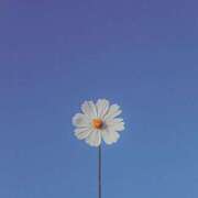 ヒメ日記 2025/05/02 14:53 投稿 さやか アバンチュール（難波）