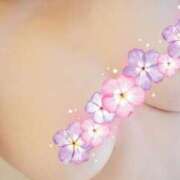 ヒメ日記 2025/02/21 23:33 投稿 れいこ Ange(長崎)