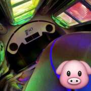 ヒメ日記 2025/04/15 07:10 投稿 まりな アラカルト