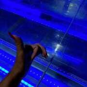 ヒメ日記 2025/06/20 12:52 投稿 まりな アラカルト