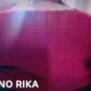 ヒメ日記 2026/02/19 15:01 投稿 松野 BBW（ビッグビューティフルウーマン）