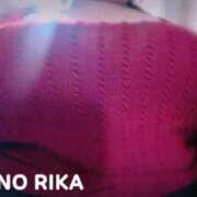 ヒメ日記 2026/02/19 15:10 投稿 松野 BBW（ビッグビューティフルウーマン）