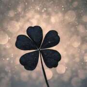 ヒメ日記 2026/03/06 06:36 投稿 成瀬　美薗 人妻の秘密