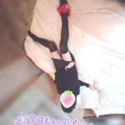 ヒメ日記 2026/04/13 06:18 投稿 成瀬　美薗 人妻の秘密