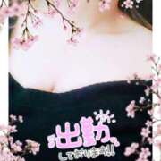 ヒメ日記 2025/04/06 13:33 投稿 桐谷 モアグループ所沢人妻城