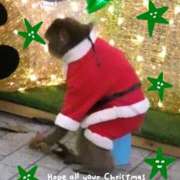 桐谷 次回の出勤♪ モアグループ所沢人妻城