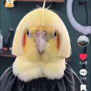 ヒメ日記 2026/04/16 18:57 投稿 桐谷 モアグループ所沢人妻城