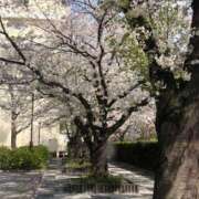 ヒメ日記 2025/04/08 14:02 投稿 かおり 鶯谷デリヘル倶楽部