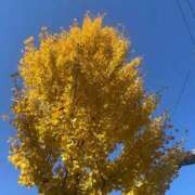 ヒメ日記 2025/11/30 19:52 投稿 かおり 鶯谷デリヘル倶楽部